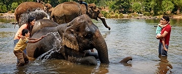 signature experience